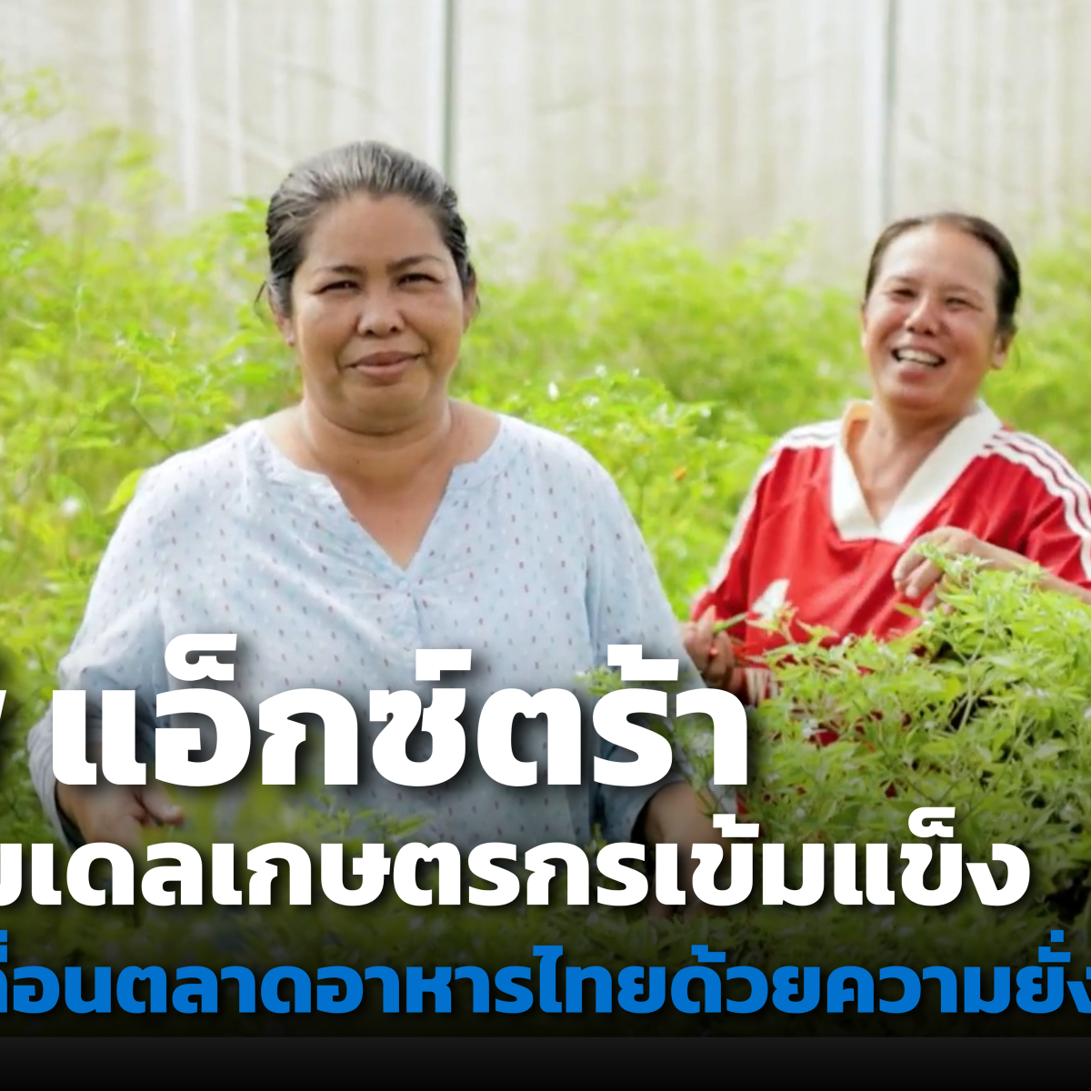 ซีพี แอ็กซ์ตร้า กับโมเดลธุรกิจที่เติบโตไปพร้อมความยั่งยืน เคียงข้างเกษตรกร สร้างระบบอาหารไทยให้แข็งแรงจากต้นน้ำถึงปลายน้ำ